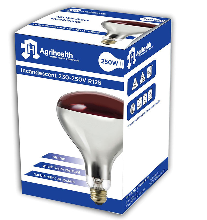 Infra Red Bulb 250W - Red