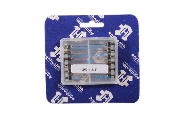 Luer Needle 19G