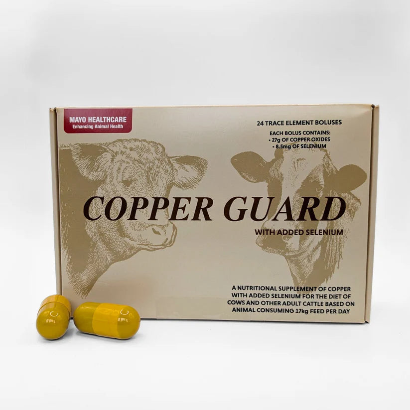 Copper Guard with Selenium (24 Pack)