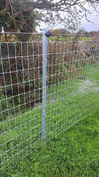 Clipex Fencing Posts