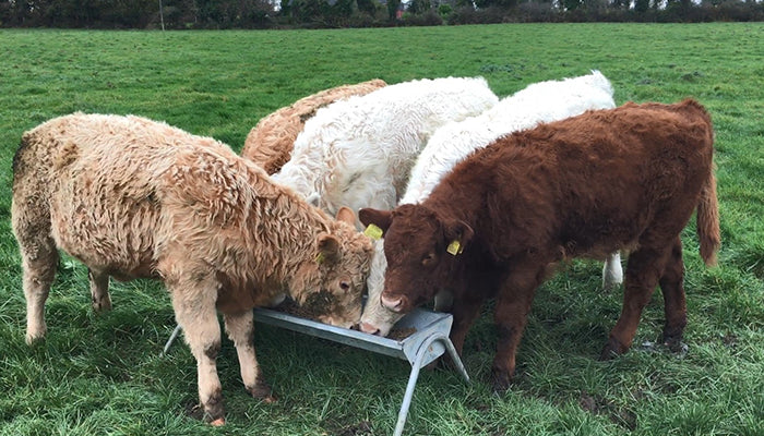 Weaning