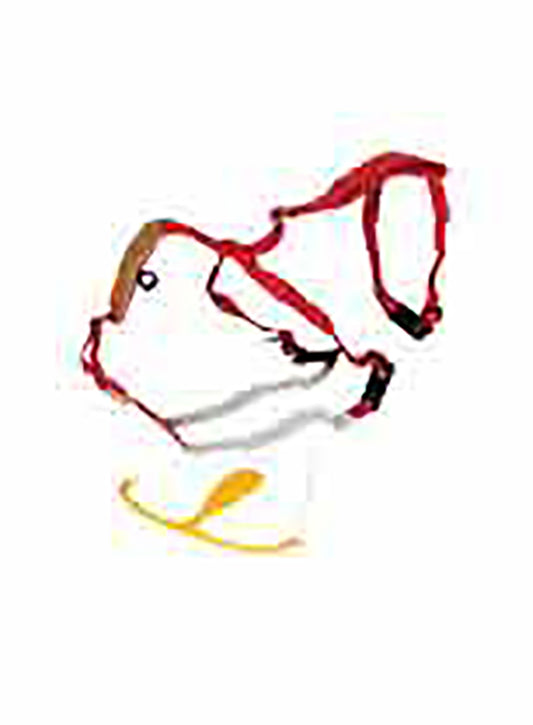 Super Prolapse Harness