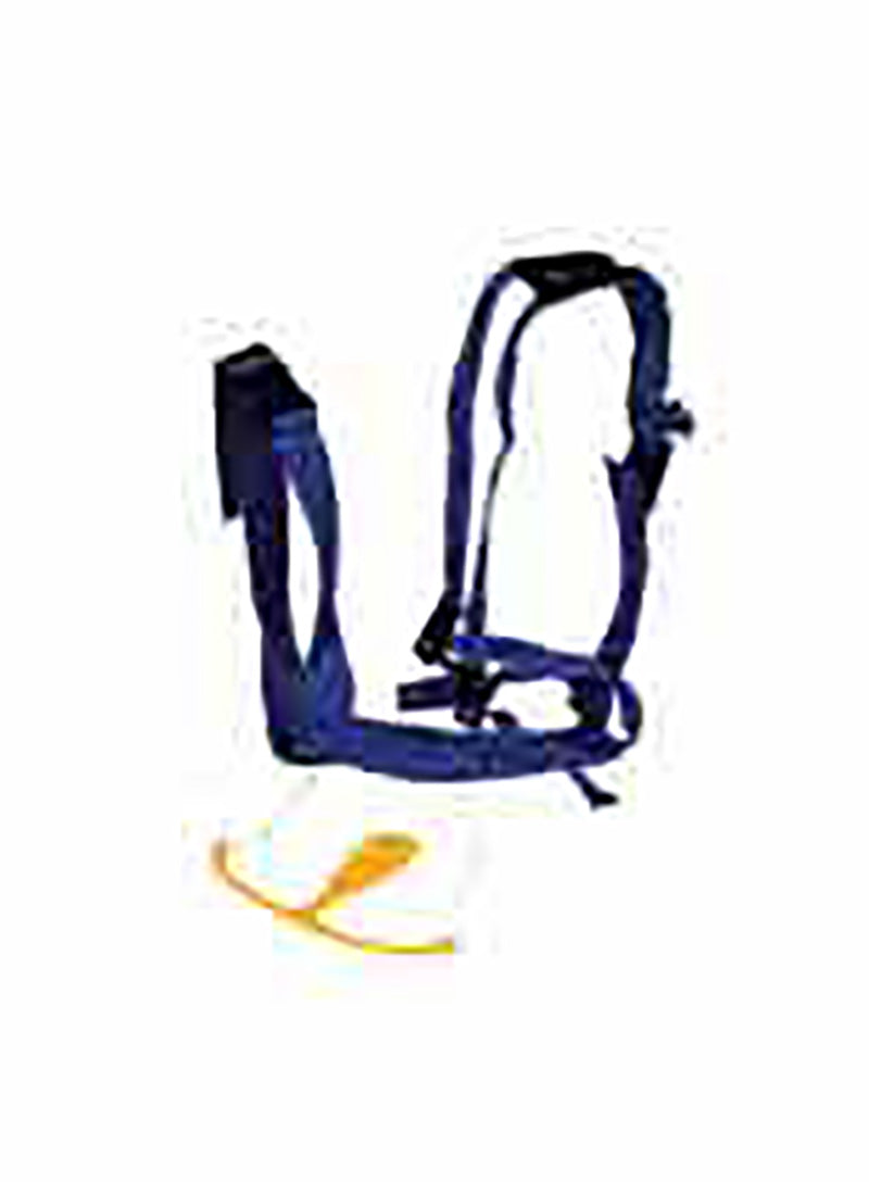 Prolapse Harness