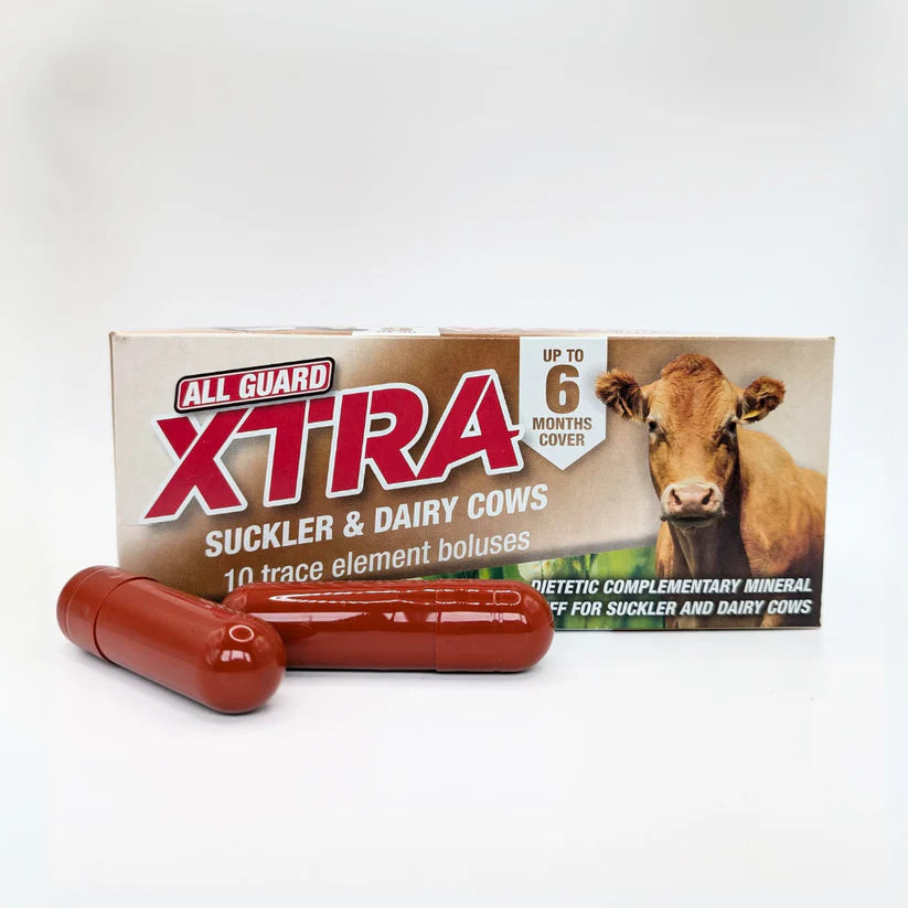 All Guard Xtra Suckler & Dairy Cow Bolus (10 Pack)