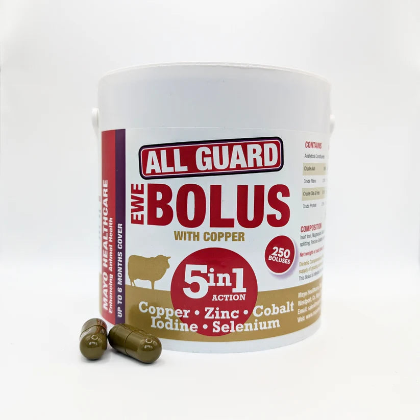 Mayo Healthcare 5 in 1 Ewe Bolus (100 Pack)