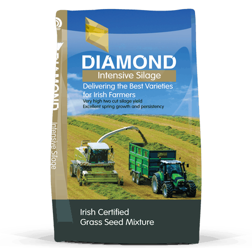 Diamond Intensive Silage