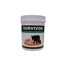 Survivor Colostrum 200G